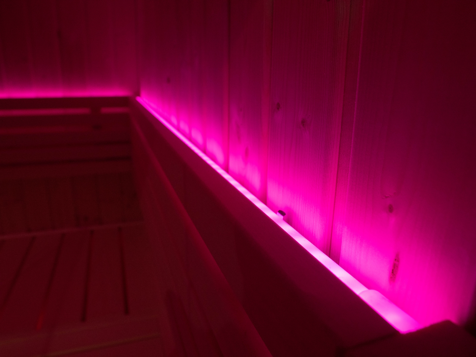LED Sauna Lighting