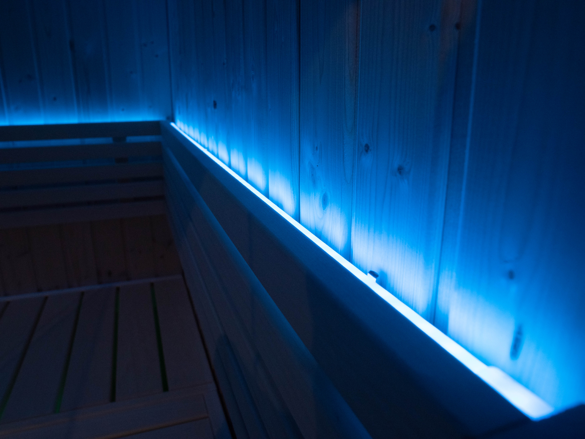 LED Sauna Lighting