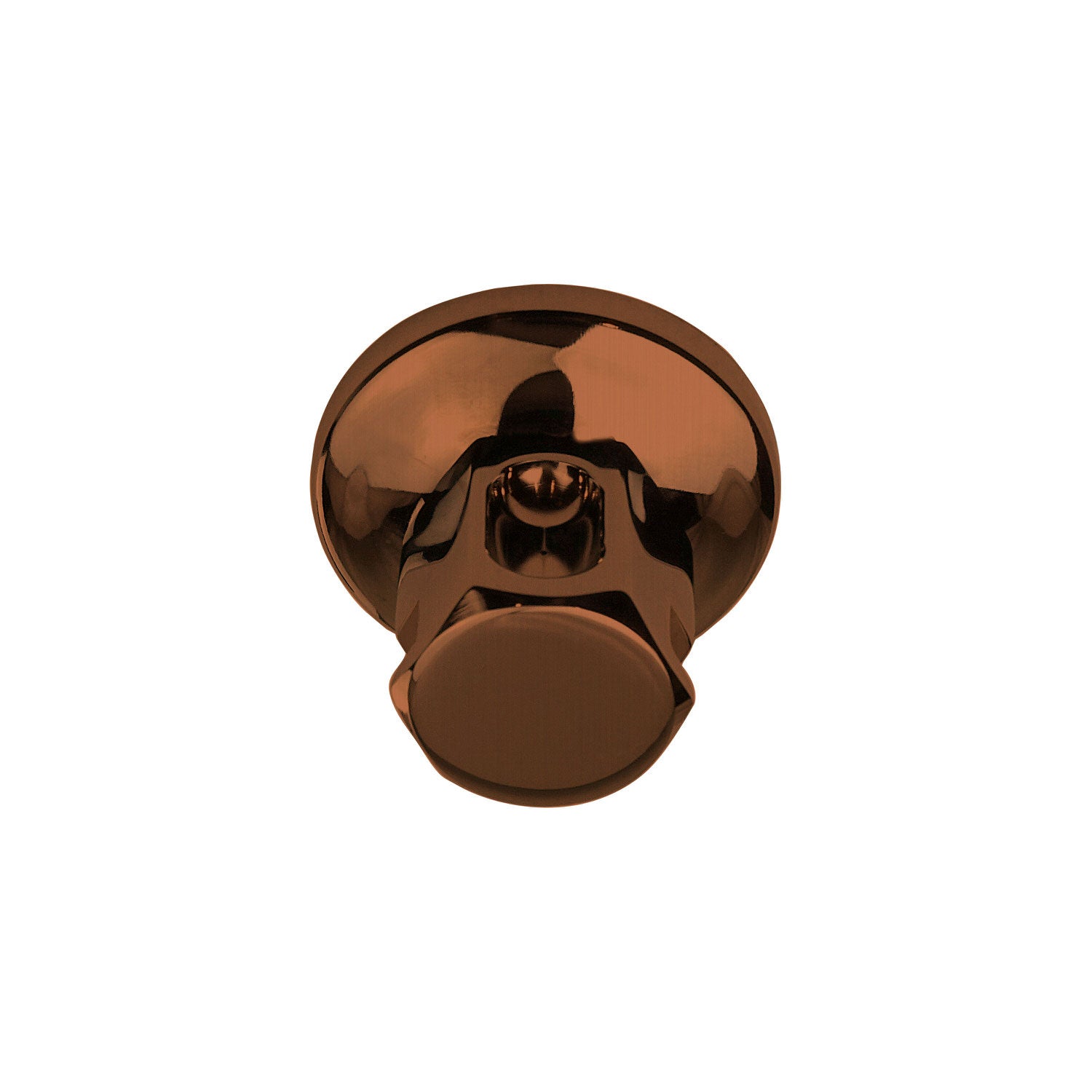 Legacy 1/2" Steam Head
