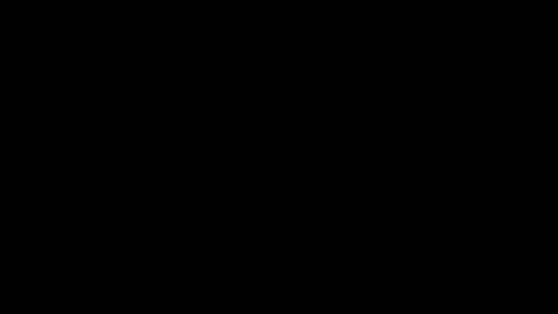 Load video: Fortis