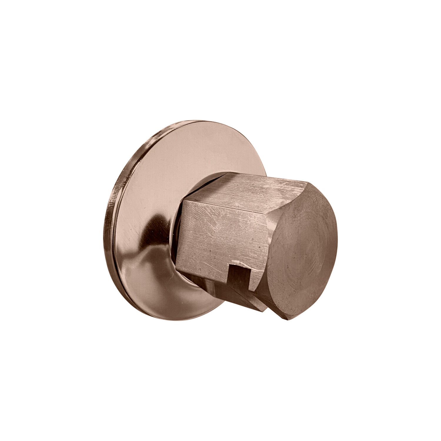 Legacy 3/4″ Steam Head